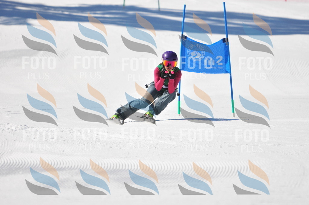 C4116 | holidayphoto