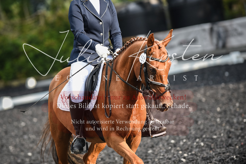 DSC_3432 | Pferde- und Turnierfotografie in Westsachsen. Pferdeportraits, Auftragszeichnungen und intuitive Kunst.