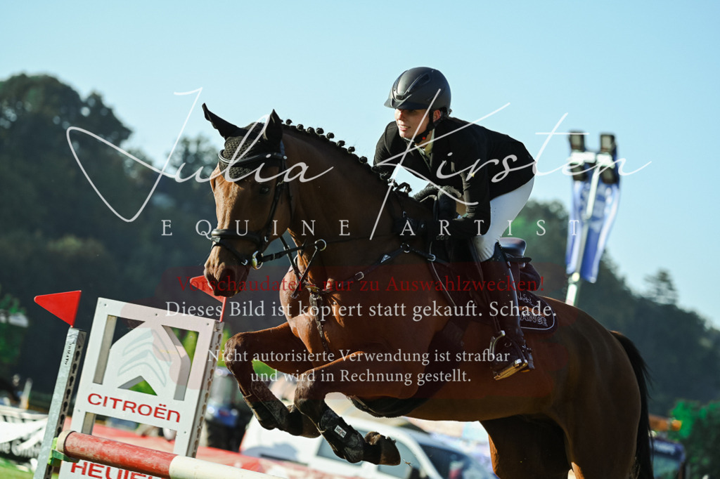 DSC_4317 | Pferde- und Turnierfotografie in Westsachsen. Pferdeportraits, Auftragszeichnungen und intuitive Kunst.