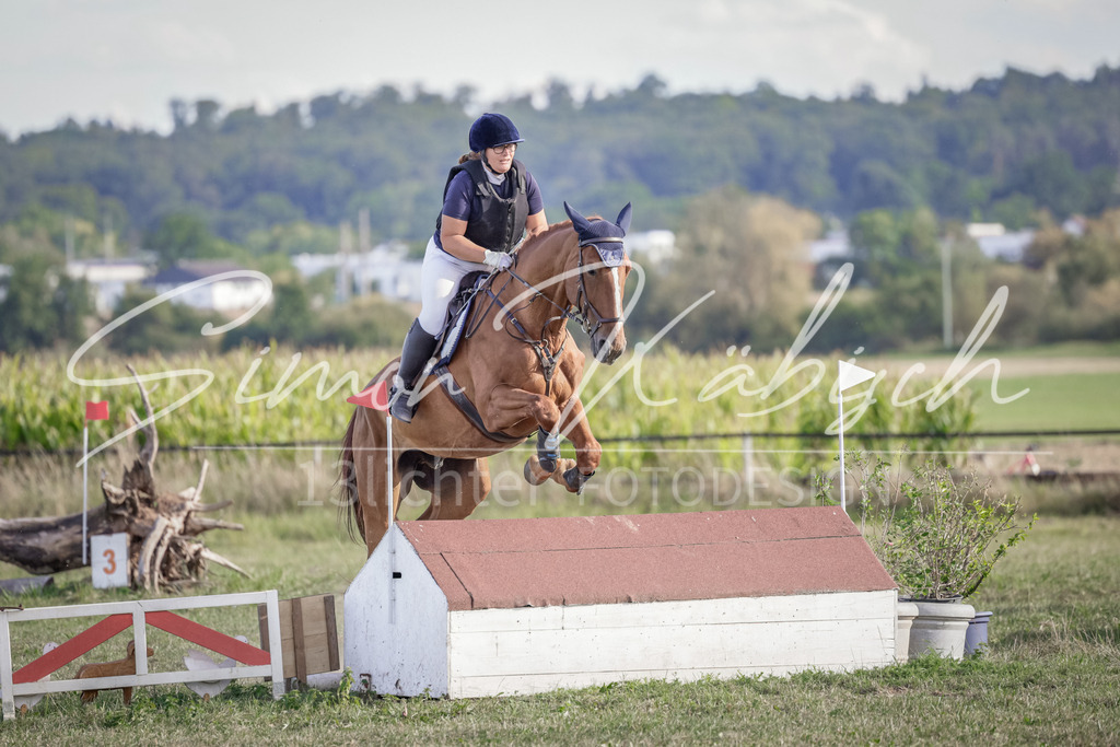 20250906-_3LI7382 | Tierfotografie Pferde, Hunde, Katzen, Haustiere.
Turnierfotografie Reitturniere, Reiten, Springreiten, Dressur in Hanau, dem Main-Kinzig-Kreis und dem Rhein-Main- Gebiet um Frankfurt