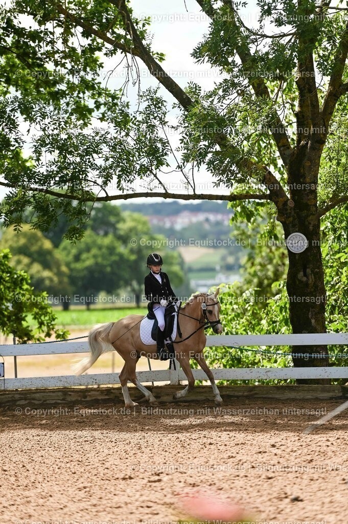 20230716_10-3_Reiter-WB Schritt - Trab - Galopp_0124 | equistock