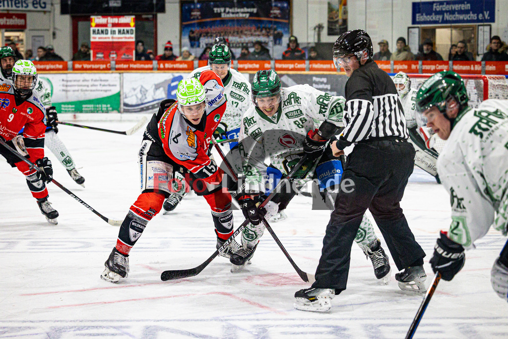 TSV Peißenberg MINERS gegen TSV Erding GLADIATORS | Eishockey Bayernliga Herren Vorrunde 2024/25, TSV Peißenberg MINERS gegen TSV Erding GLADIATORS, 20250119,Am Bully Ryan MURPHY (MINERS 15) und Marco DEUBLER (GLADIATORS 86),2025-01-19 in Peißenberg (Eisstadion Peißenberg)Ryan MURPHY (MINERS 15), Marco DEUBLER (GLADIATORS 86)Copyright: WolfgangxLindner foto-lindner.de