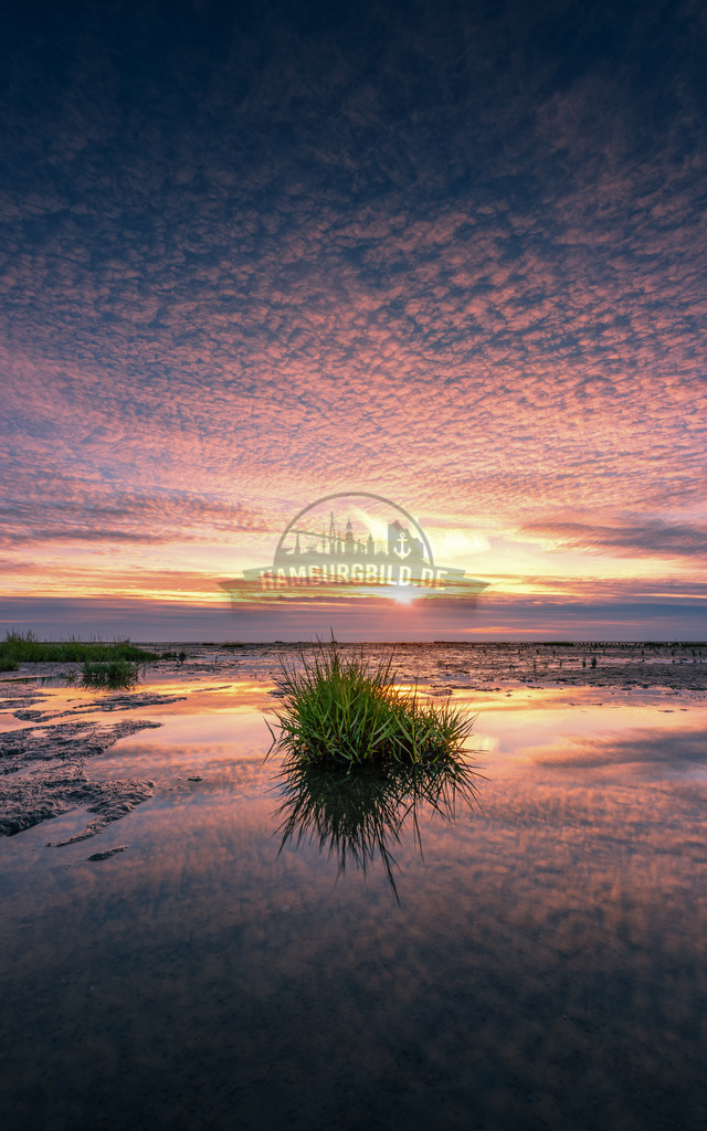 Friedrichskoog Spitze 2 | Exklusive Hamburg collagen, tolle Segelbilder und viele weitere tolle Motive auf Leinwand, Poster, Alu-Dibond, u.v.m. findet Ihr bei uns auf hamburgbild.de. Findet Euer Wandbild für Euer Zuhause, Büro oder die  Praxis…. - Realisiert mit Pictrs.com