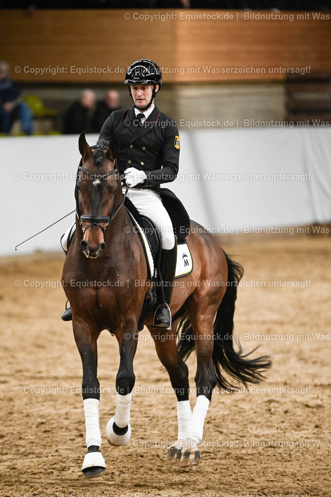 20260307_Hengstvorstellung-Marbach_0359 | equistock