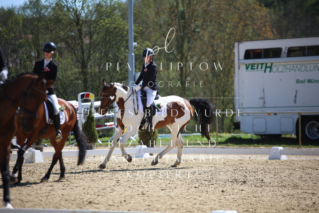 IMGT1192 | pl-fotografie