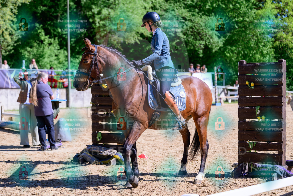 01052026-Giesenbach-02-Stiltrail-0693 | Fokus Hufschlag Fotografie - Realisiert mit Pictrs.com