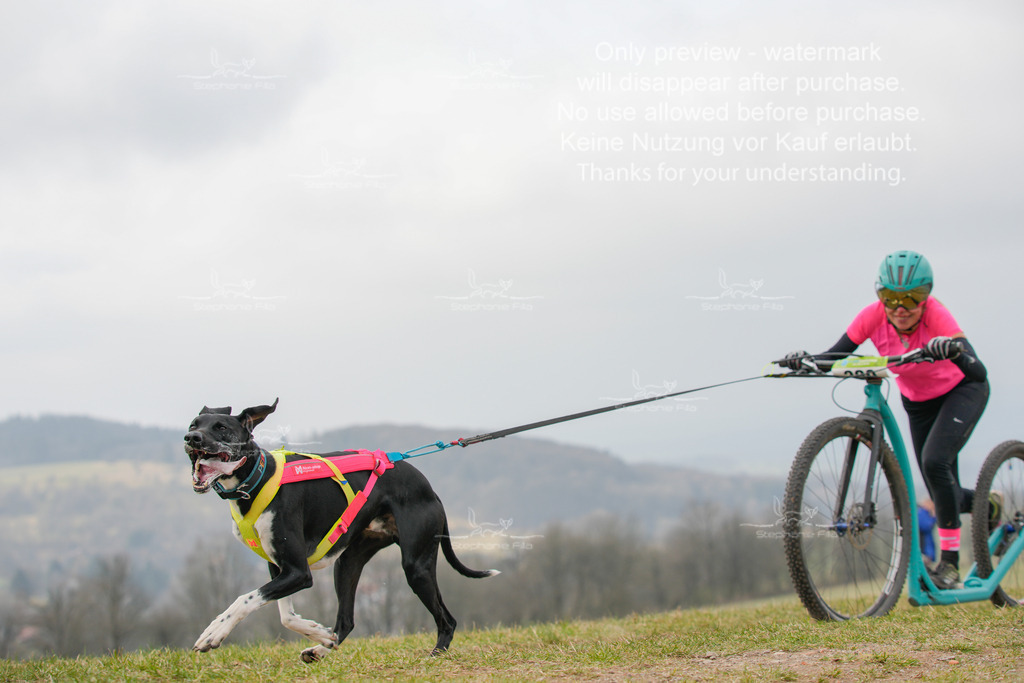 ScooterSA-119 | stephaniefillaphotographie - Realisiert mit Pictrs.com