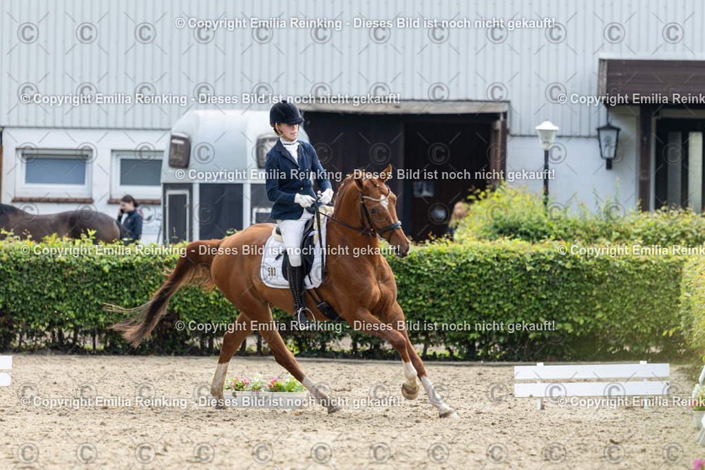 CL5A5048 | Emilia Reinking Fotografie - Realisiert mit Pictrs.com