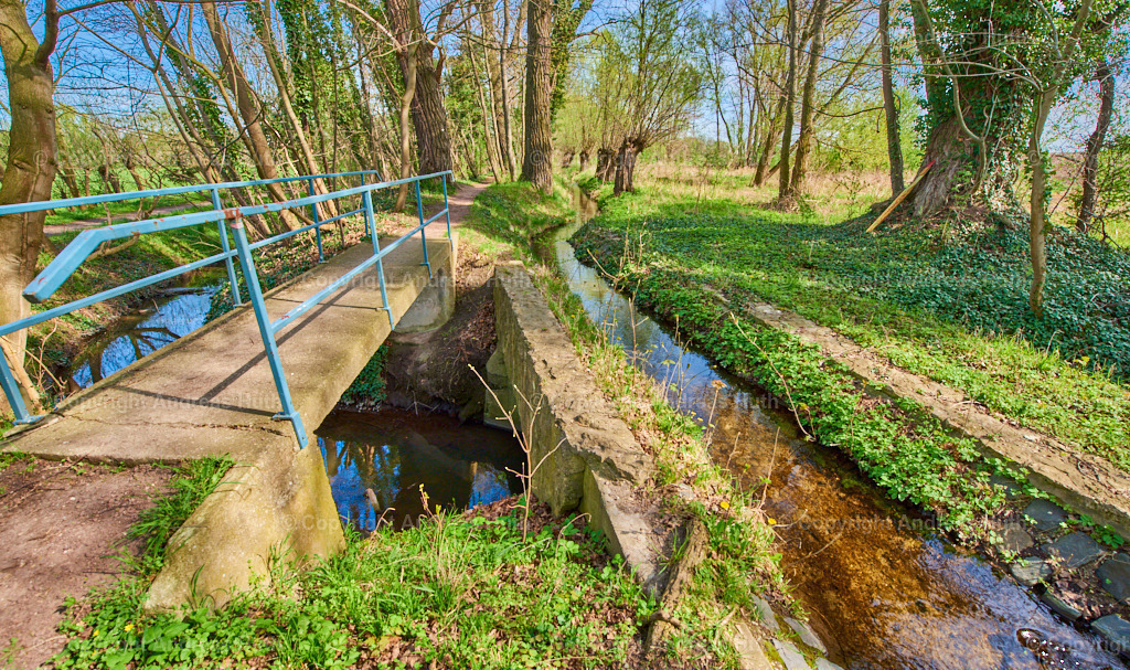 Das Wasserkreuz zwischen dem Elsterfloßgraben und dem Bach _Der Bach_ 01 | Bedeutsame Landschaften Deutschlands - Realisiert mit Pictrs.com