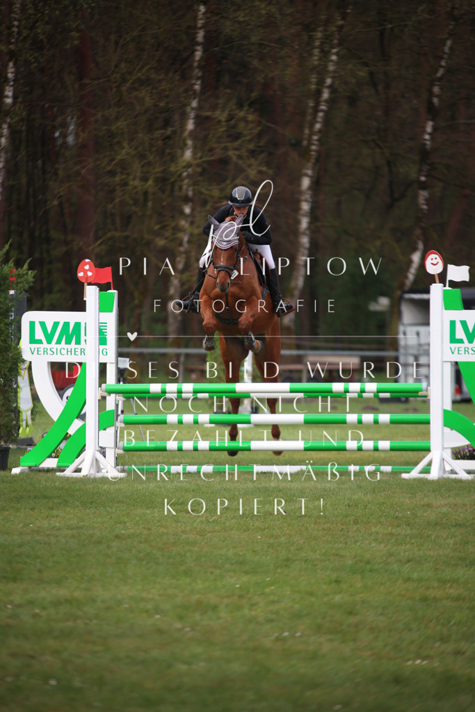 IMGT2303 | pl-fotografie