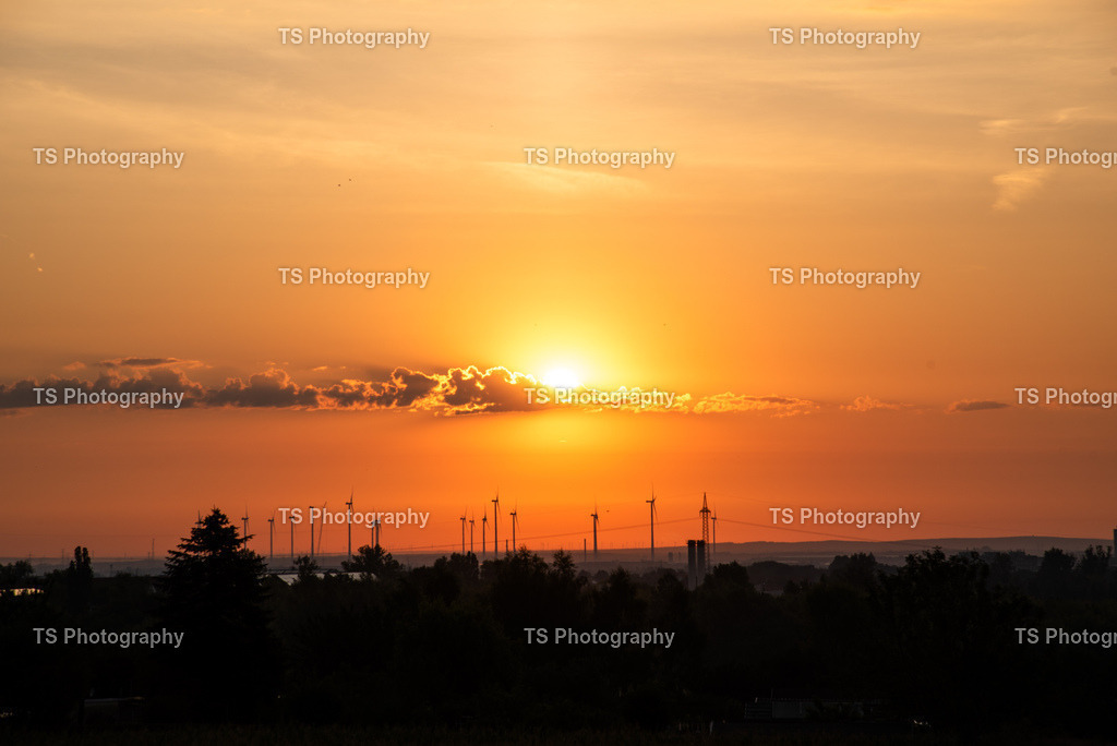 IMG_8608_TIF | TS Photography - Realisiert mit Pictrs.com