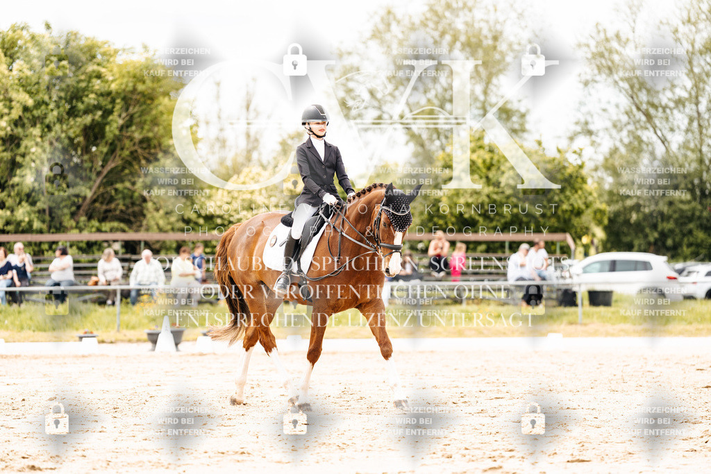 CK902911 | Turnierfotografie Pferdefotografie Trier Rheinland-Pfalz Pferdesport Reitsport Tierfotografie Sportfotografie Pferdevideo Pferdevideografie Equestrianvideography equestrianphotography  - Realisiert mit Pictrs.com