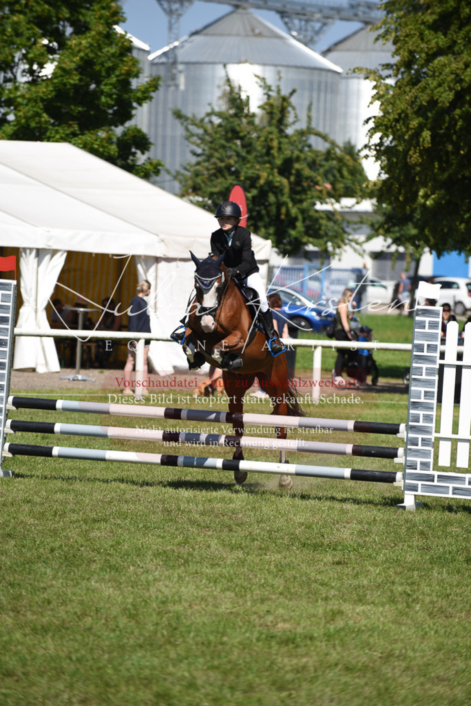 DSC_9604 | Pferde- und Turnierfotografie in Westsachsen. Pferdeportraits, Auftragszeichnungen und intuitive Kunst.
