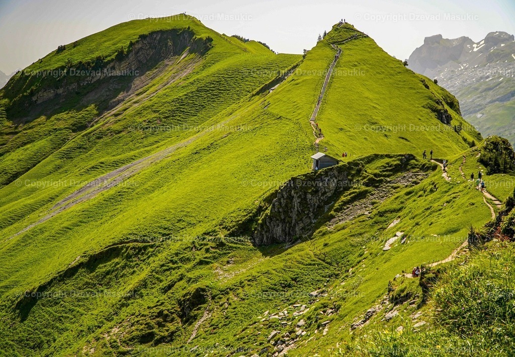 1A083521-015E-4FB3-9B14-88B163C05E20 | Ich fotografiere Landschaften, Produkte und erstelle für Sie Firmenportraits. Engagieren Sie mich für den nächsten Projekt. - Realisiert mit Pictrs.com