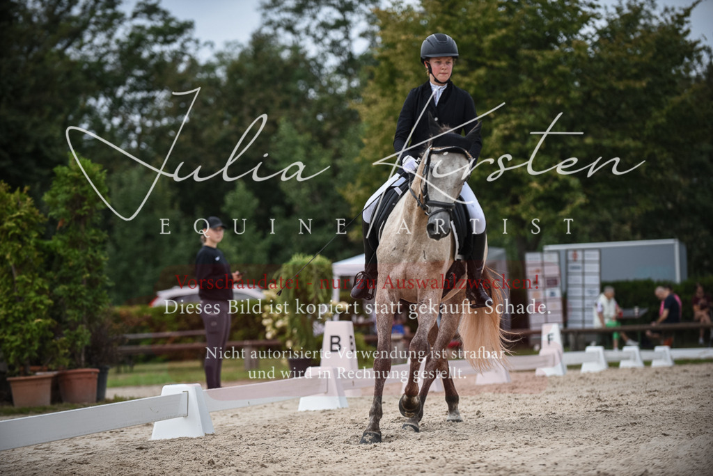 DSC_8232 | Pferde- und Turnierfotografie in Westsachsen. Pferdeportraits, Auftragszeichnungen und intuitive Kunst.