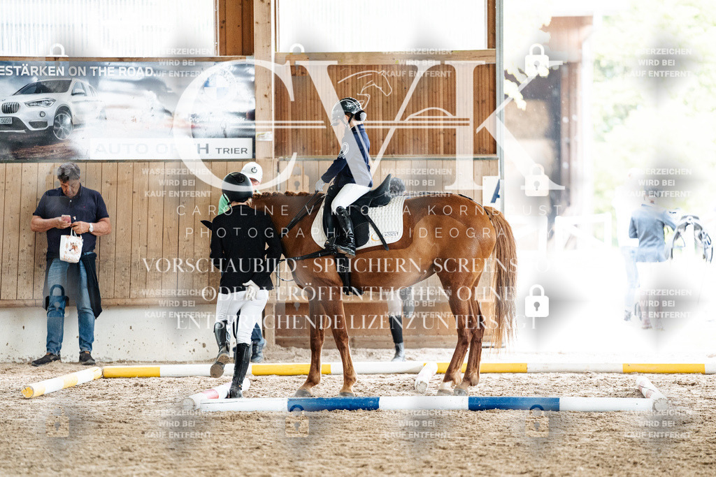 CK902383 | Turnierfotografie Pferdefotografie Trier Rheinland-Pfalz Pferdesport Reitsport Tierfotografie Sportfotografie Pferdevideo Pferdevideografie Equestrianvideography equestrianphotography  - Realisiert mit Pictrs.com