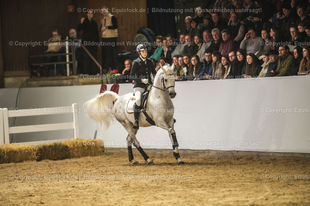 20240302_Hengstvorstellung_Marbach_TOMsPiC_1031 | equistock