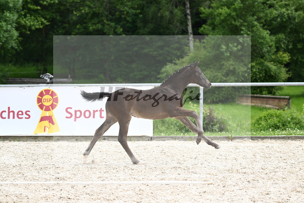 V-Power x Ray Ban_SF_Stadelmann_20240747 | hf-fotografie - Realisiert mit Pictrs.com