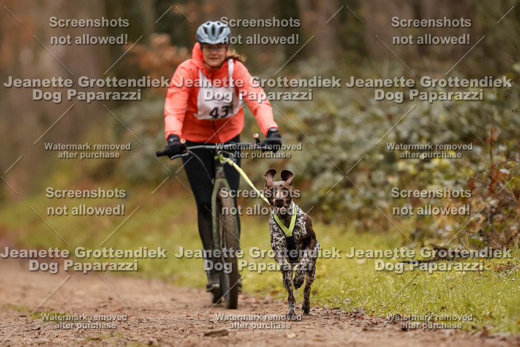 Dog Paparazzi - Speedhunter Mannheim  2025-110 | Dog Paparazzi Jeanette Grottendiek Fotografie & Videografie