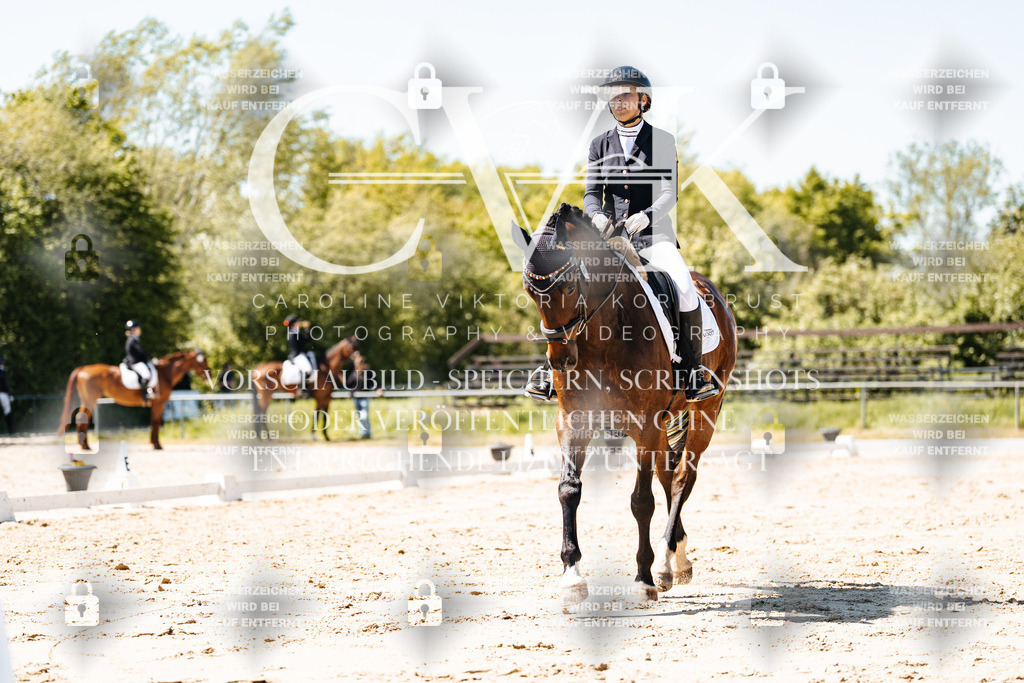 CK905602 | Turnierfotografie Pferdefotografie Trier Rheinland-Pfalz Pferdesport Reitsport Tierfotografie Sportfotografie Pferdevideo Pferdevideografie Equestrianvideography equestrianphotography  - Realisiert mit Pictrs.com