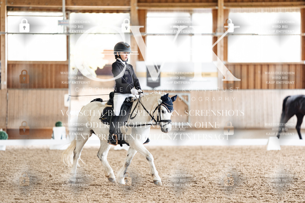 CK900909 | Turnierfotografie Pferdefotografie Trier Rheinland-Pfalz Pferdesport Reitsport Tierfotografie Sportfotografie Pferdevideo Pferdevideografie Equestrianvideography equestrianphotography  - Realisiert mit Pictrs.com