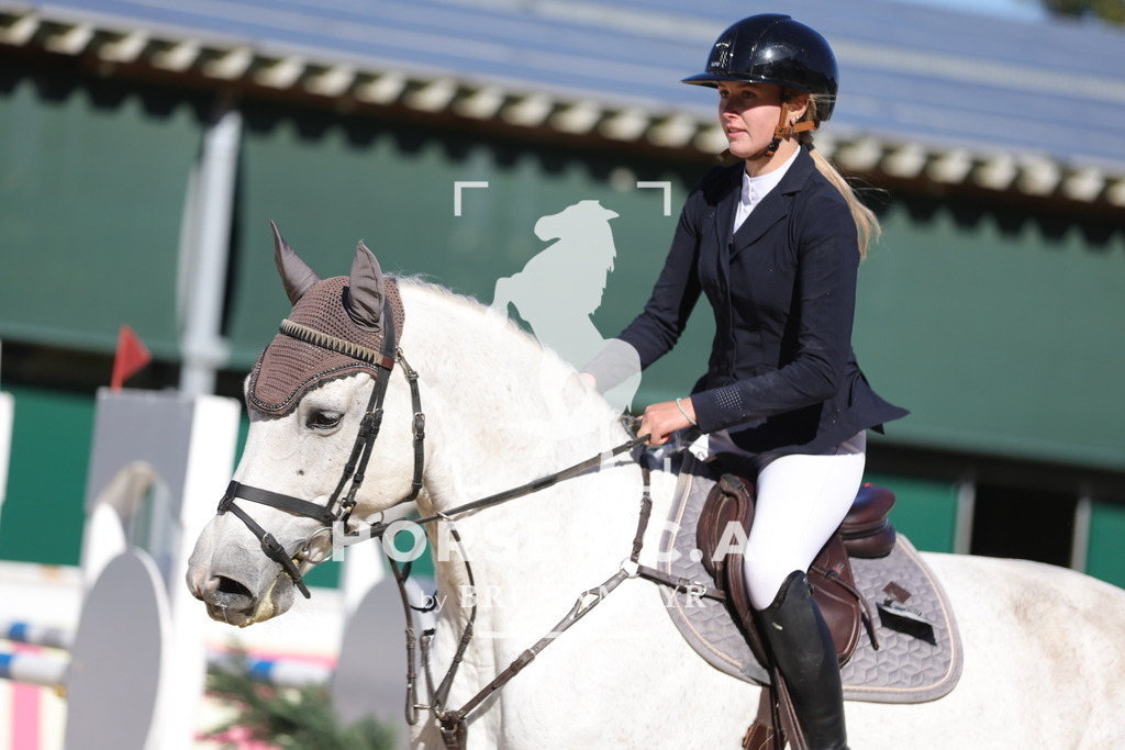 0P6A0914 | Willkommen bei Brunnmayr - Design & Fotografie – Ihrem Spezialisten für Reitturniere und Pferdeveranstaltungen in Oberösterreich, Salzburg und Bayern! Seit über 17 Jahren sind wir leidenschaftlich dabei.