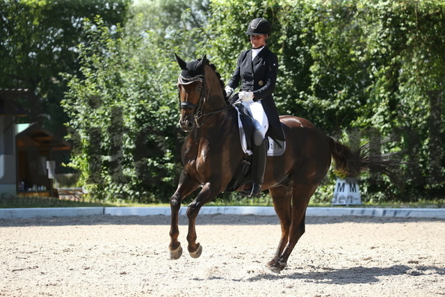 Ilsfeld_2022_Dressur_Kl.S_dreiSterne_Martina Steisslinger_Favory A.S. (16) | Alle Fotos der Reiterjournal Fotografin Doris Matthaes im Reiterjournal Online-Fotoshop. - Realisiert mit Pictrs.com