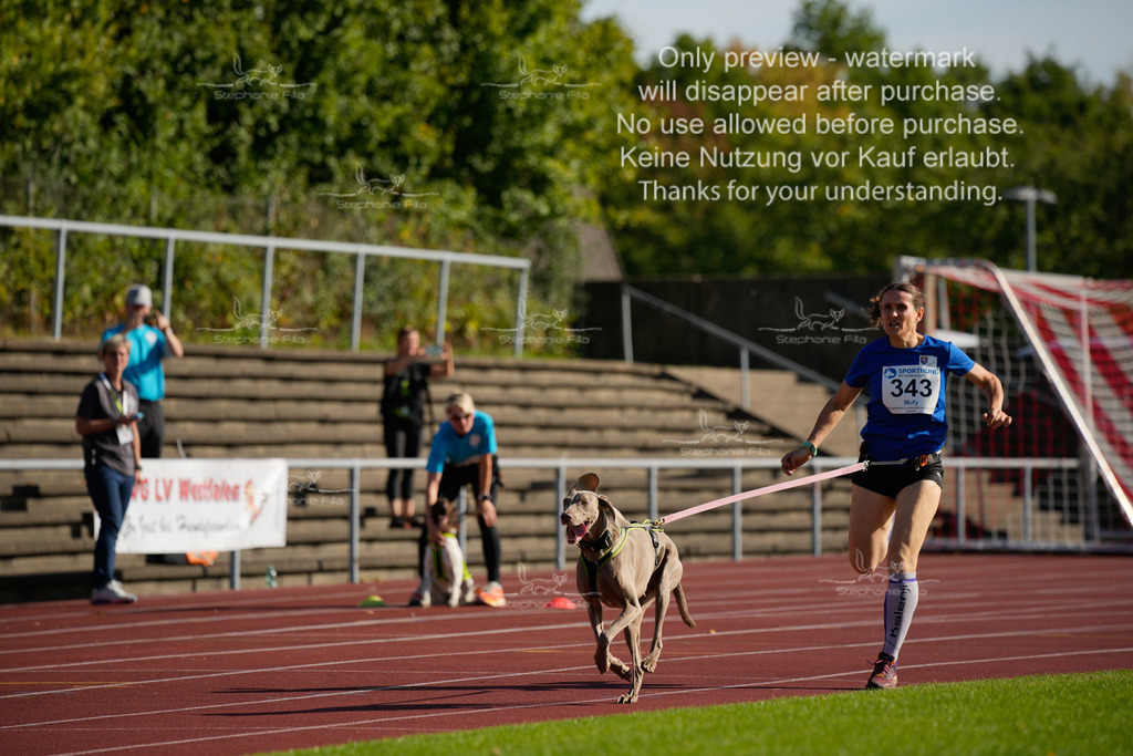 Sonntag_Staffel (50 von 336) | stephaniefillaphotographie - Realisiert mit Pictrs.com
