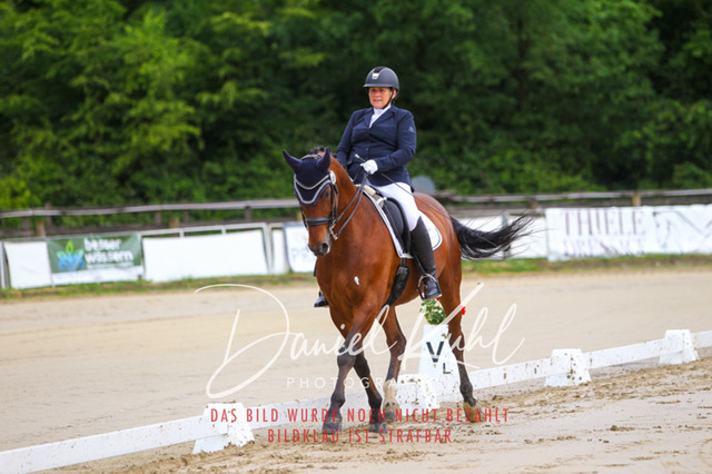 DKP47092 | Turniersportfotografie; Pferdefotografie; Dressurfotografie