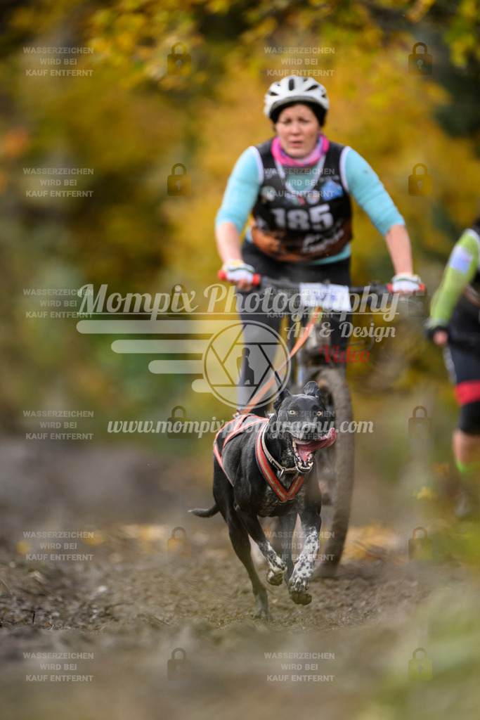 MompixPhotography_ICF_WC_2024_SA_Bike_-270 | PayLife