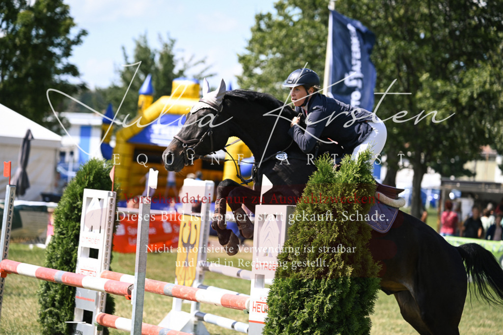DSC_0478 | Pferde- und Turnierfotografie in Westsachsen. Pferdeportraits, Auftragszeichnungen und intuitive Kunst.