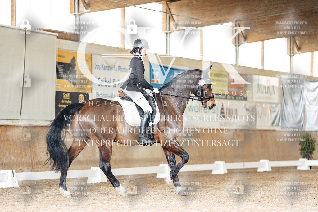 CK901943 | Turnierfotografie Pferdefotografie Trier Rheinland-Pfalz Pferdesport Reitsport Tierfotografie Sportfotografie Pferdevideo Pferdevideografie Equestrianvideography equestrianphotography  - Realisiert mit Pictrs.com