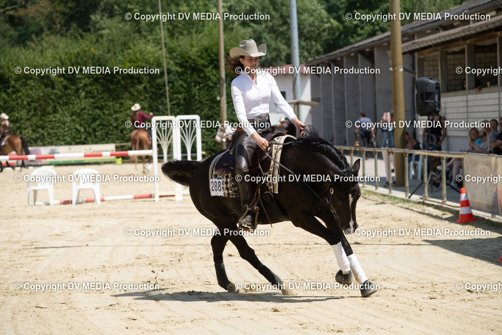 ZS3_0002 | dv-media-shop - Realisiert mit Pictrs.com