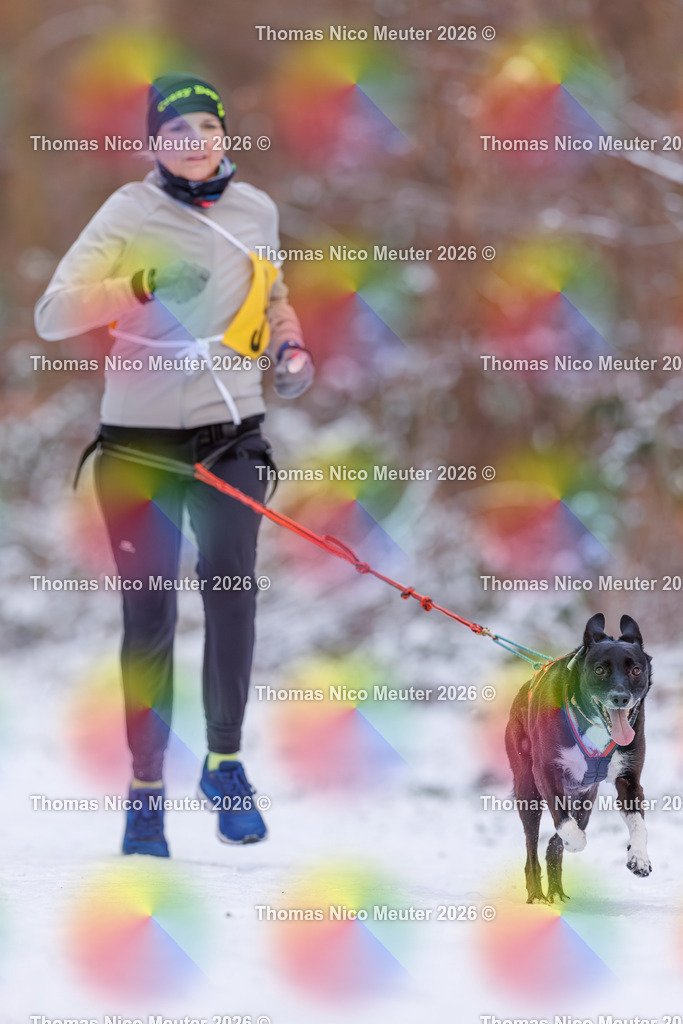 Thomas_Nico_Meuter(C)_223A7986 | Bild von Thomas Nico Meuter - Realisiert mit Pictrs.com