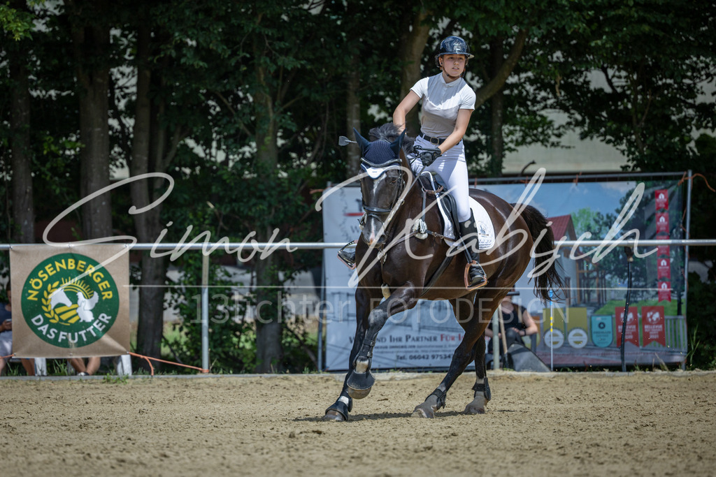 20260704-_3LI0025 | Tierfotografie Pferde, Hunde, Katzen, Haustiere.
Turnierfotografie Reitturniere, Reiten, Springreiten, Dressur in Hanau, dem Main-Kinzig-Kreis und dem Rhein-Main- Gebiet um Frankfurt