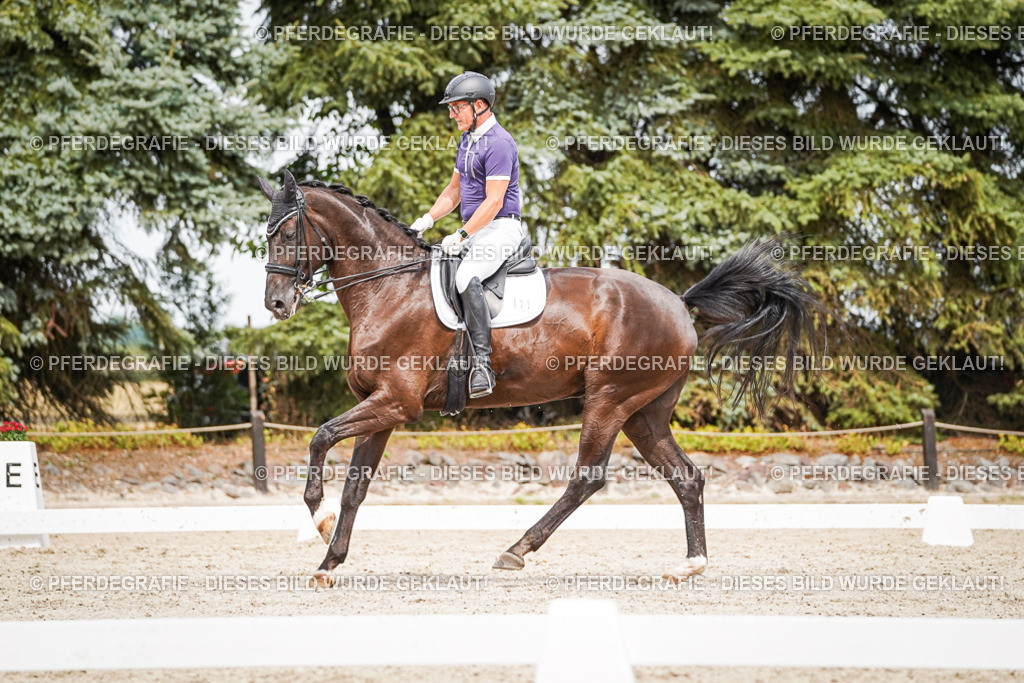 DSC06238 | Pferdegrafie