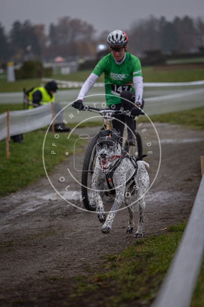 CaniXpix_0L8A0527 | Hundefotografie, Tierfotograf, Pfotenfotografie, Fotoshooting Hund, Hunde Portrait, Hundesport, Hundeportraits, Heideshooting, Hunde, Sportfotograf, Hundefotograf, Turnierhundsport, THS,  - Realisiert mit Pictrs.com