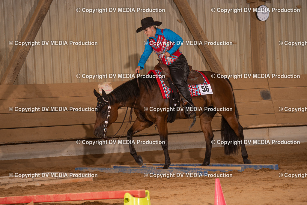 NID00657 | dv-media-shop - Realisiert mit Pictrs.com