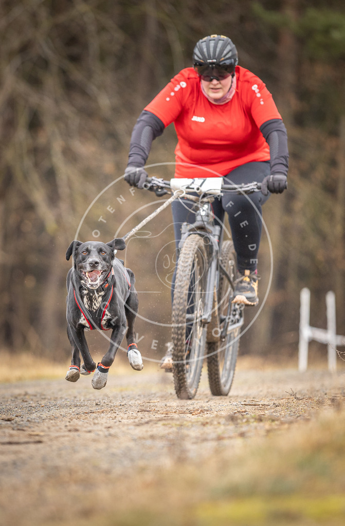 DV3A3334 | Hundefotografie, Tierfotograf, Pfotenfotografie, Fotoshooting Hund, Hunde Portrait, Hundesport, Hundeportraits, Heideshooting, Hunde, Sportfotograf, Hundefotograf, Turnierhundsport, THS,  - Realisiert mit Pictrs.com