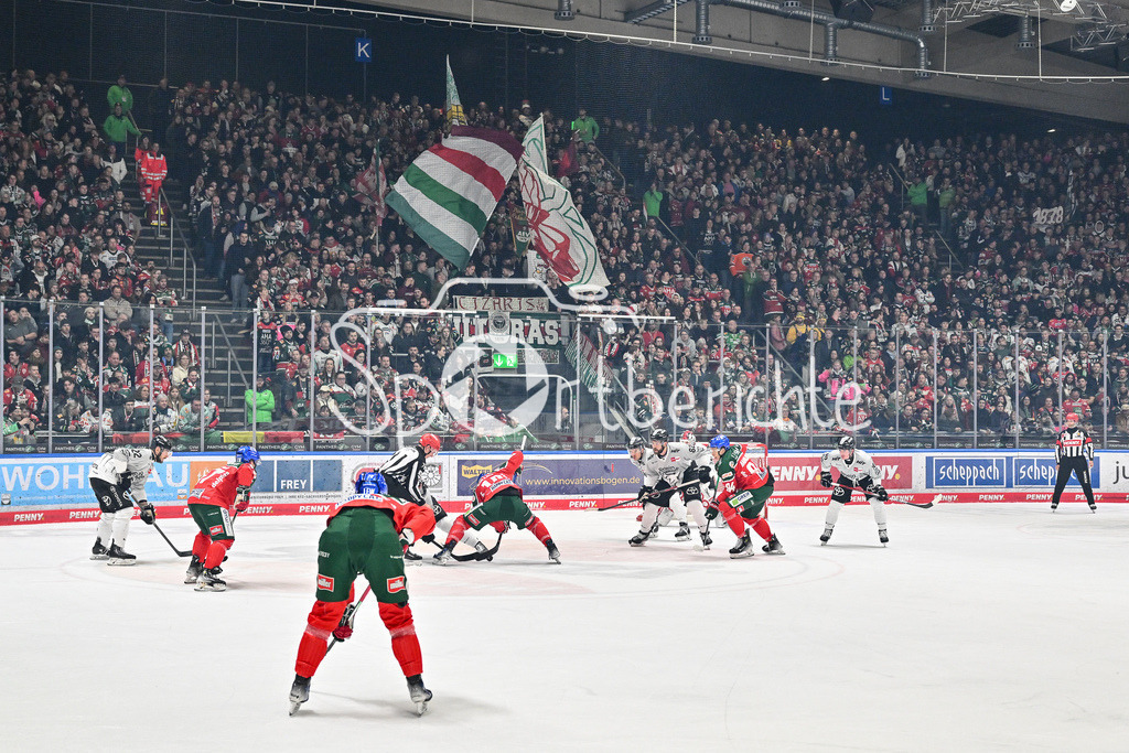 Augsburger Panther - Kölner Haie | Die Heimkurve der Augsburger Panther beim Heimspiel gegen Koeln / DEL: Augsburger Panther - Koelner Haie, Curt Frenzel Stadion am 02.03.2025