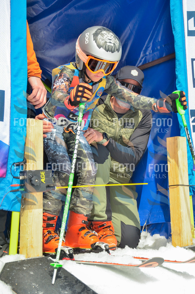 _ELE7676 | holidayphoto