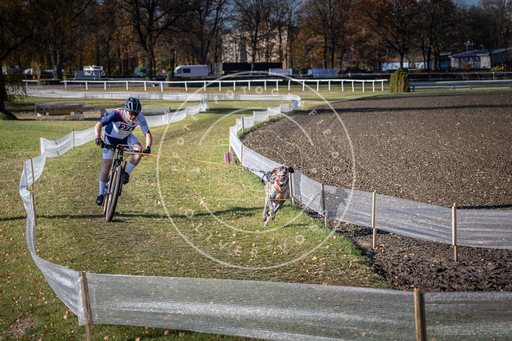 CaniXpix_DV3A5368 | Hundefotografie, Tierfotograf, Pfotenfotografie, Fotoshooting Hund, Hunde Portrait, Hundesport, Hundeportraits, Heideshooting, Hunde, Sportfotograf, Hundefotograf, Turnierhundsport, THS,  - Realisiert mit Pictrs.com