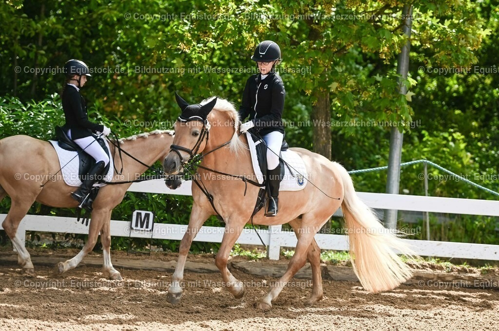 20230716_10-3_Reiter-WB Schritt - Trab - Galopp_0085 | equistock