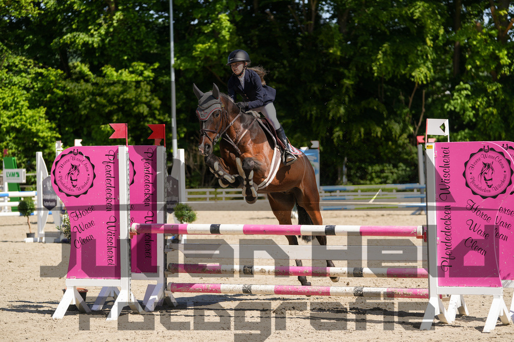 DSC02169 | Julian Held Fotografie - Realisiert mit Pictrs.com