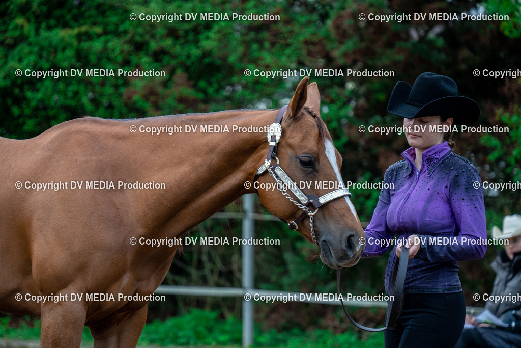 BA300048 | dv-media-shop - Realisiert mit Pictrs.com