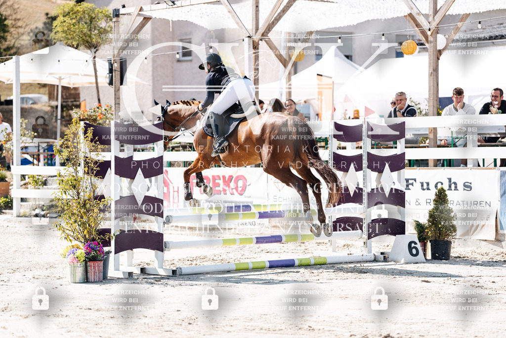CK904958 | Turnierfotografie Pferdefotografie Trier Rheinland-Pfalz Pferdesport Reitsport Tierfotografie Sportfotografie Pferdevideo Pferdevideografie Equestrianvideography equestrianphotography  - Realisiert mit Pictrs.com