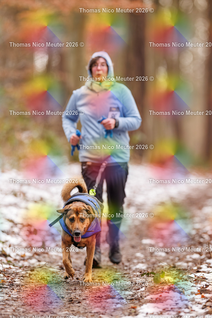 Thomas_Nico_Meuter(C)_223A9354 | Bild von Thomas Nico Meuter - Realisiert mit Pictrs.com