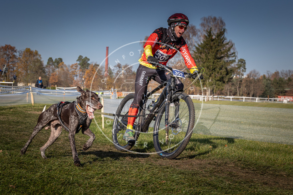 CaniXpix_0L8A7570 | Hundefotografie, Tierfotograf, Pfotenfotografie, Fotoshooting Hund, Hunde Portrait, Hundesport, Hundeportraits, Heideshooting, Hunde, Sportfotograf, Hundefotograf, Turnierhundsport, THS,  - Realisiert mit Pictrs.com
