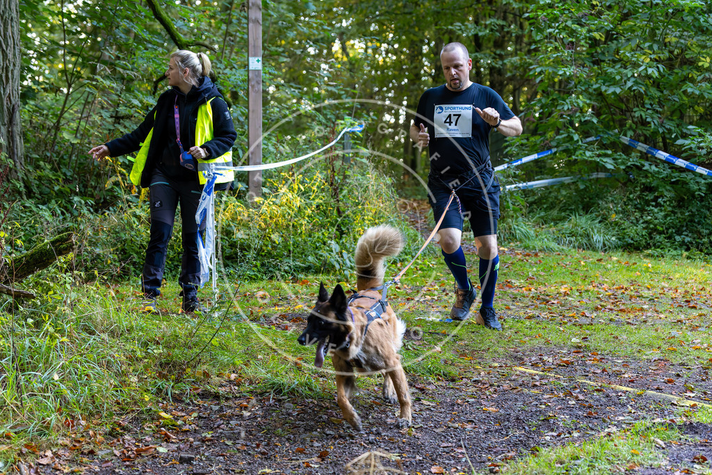 Pfotenfotografie_DV3A6967 | Hundefotografie, Tierfotograf, Pfotenfotografie, Fotoshooting Hund, Hunde Portrait, Hundesport, Hundeportraits, Heideshooting, Hunde, Sportfotograf, Hundefotograf, Turnierhundsport, THS,  - Realisiert mit Pictrs.com