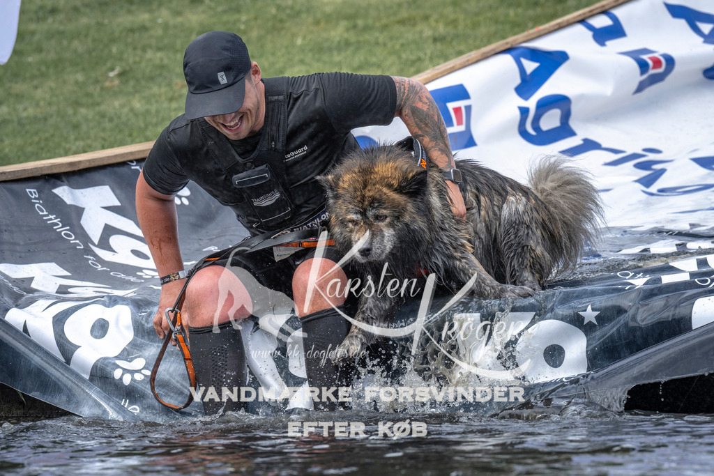 1129_ZZ92529 | kk-dogfotos